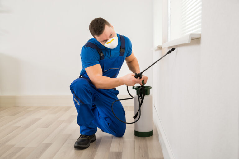 A worker performing pest control services